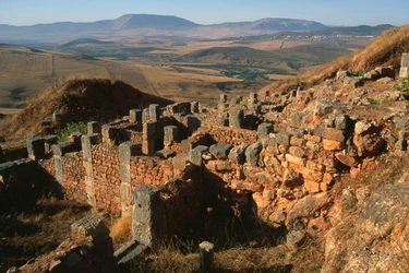 General view of the site